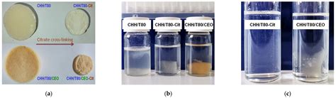 direct loading of gels|Synthesis of Bioactive Materials by In Situ One.